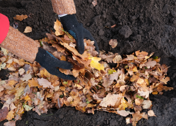 Удобрение, изображение из свободных источников