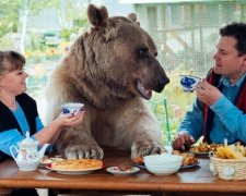 В семье россиян живет 135-килограммовый медведь
