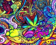 Риба Сарпа Сальта викликає галюцінації