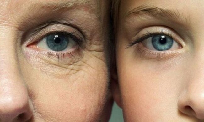 Вчені встановили, від чого залежить тривалість життя