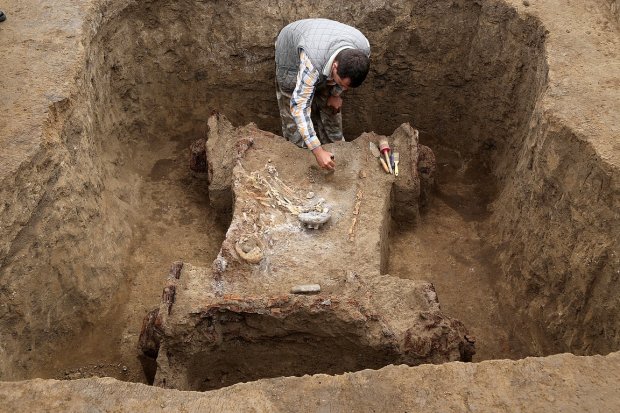 Транспорт багатія: археологи натрапили на розкішну колісницю, її вік вражає