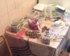 Подпольный цех по обработке янтаря обнаружили во Львовской области (фото)