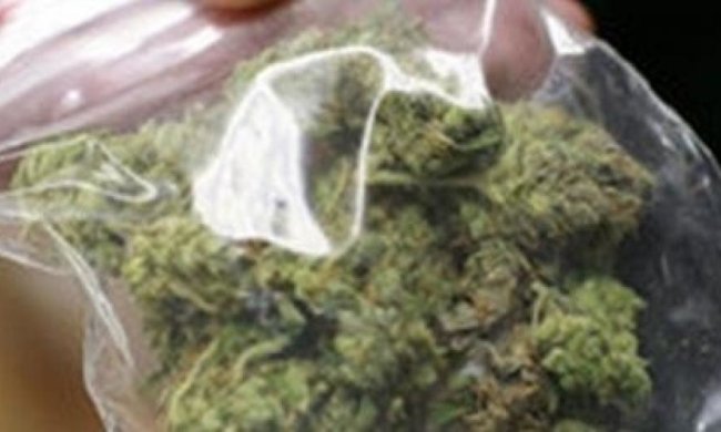 Полиция нашла наркотики прямо в зале суда