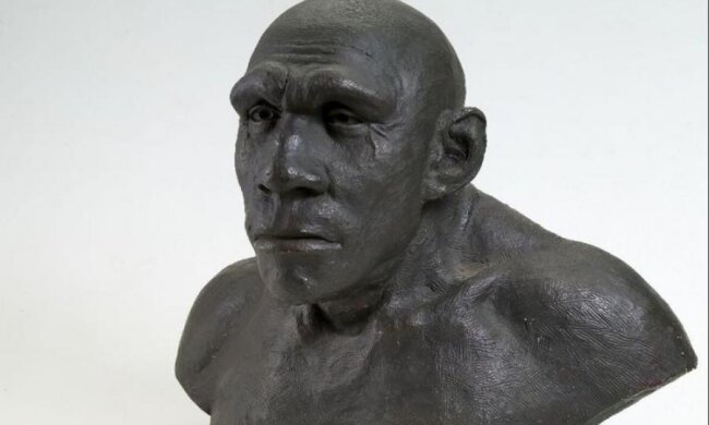 Впервые в истории ученые восстановили лицо 28-тысячелетнего предка человека