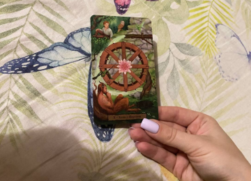 Карта "Колесо Фортуни", фото: Знай.ua