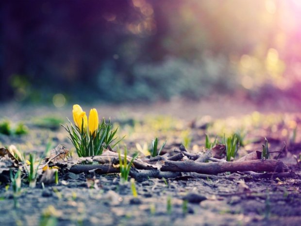 Погода на 2 марта: синоптик рассказала, что принесет первый месяц весны