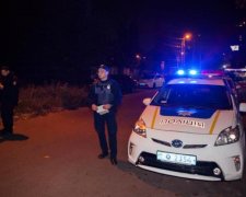 Звіряче вбивство школярки: вчителі розповіли про матір 