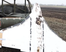 БПЛА "Гербера". Фото: скрін youtube