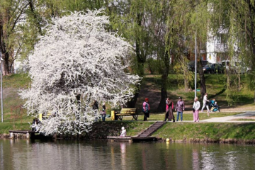 Парк, прогулка, украинцы, фото из соцсетей
