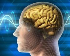 Ученые нашли способ "вернуть тело" парализованным людям