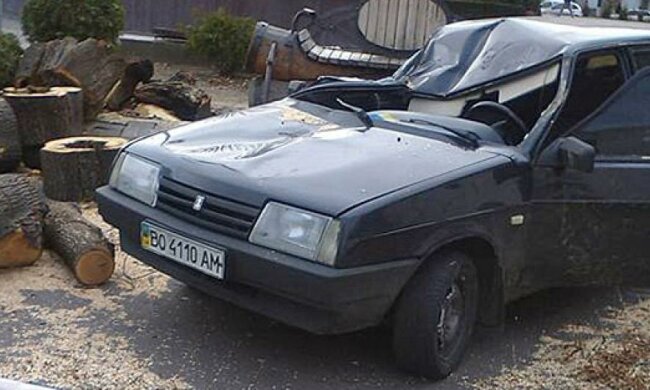 На находящихся в авто франковских полицейских упало дерево  (фото) 