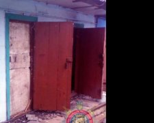 Бойовики знищили сім житлових будинків Красногорівки
