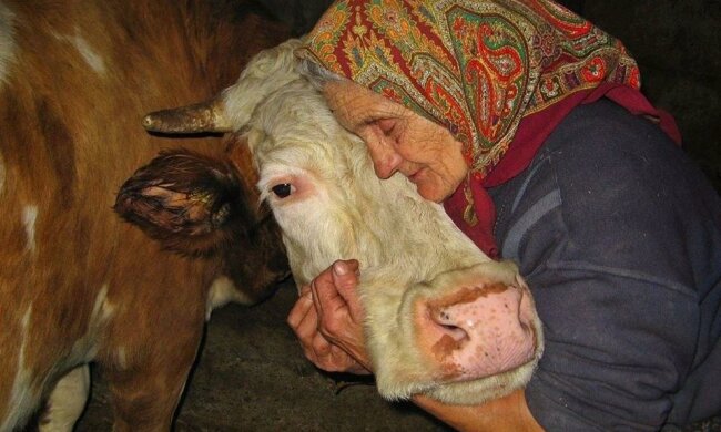 Як не втратити страховий стаж перед пенсією, поради від ПФУ