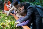 Ця країна руйнує життя українцям: куди краще ніколи не сунутися