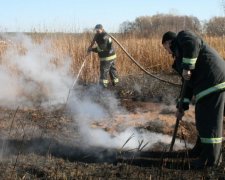 Біля Києва торфовища горять у 16 місцях