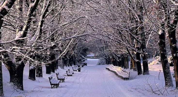 Зима, снег, погода, фото из соцсетей