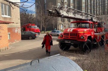 Фото: Патрульна поліція