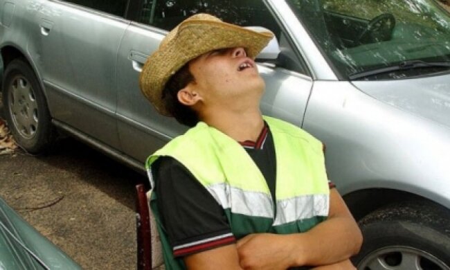 Музей в Пирогово охотится на хитрых парковщиков