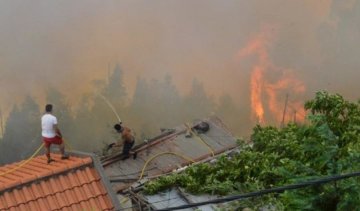 В Египте сгорело полсела из-за взрыва газа