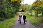 Жовтень, скріншот відео