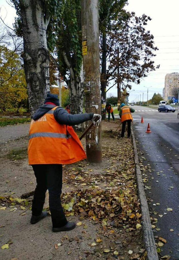 В Барнауле появятся новые клумбы и цветочные композиции