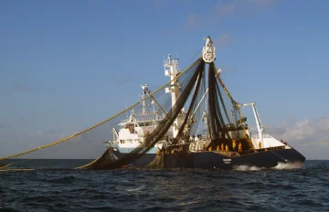 Українські моряки опинилися в піратському полоні: на рахунку кожен день