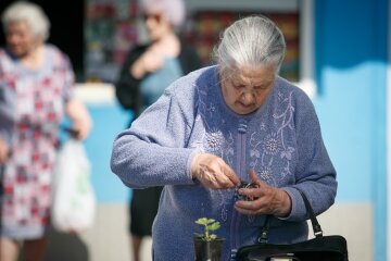 На старость придется собирать последнее, украинцам приготовили серьезные изменения: "Работаешь? Пенсии не будет!"