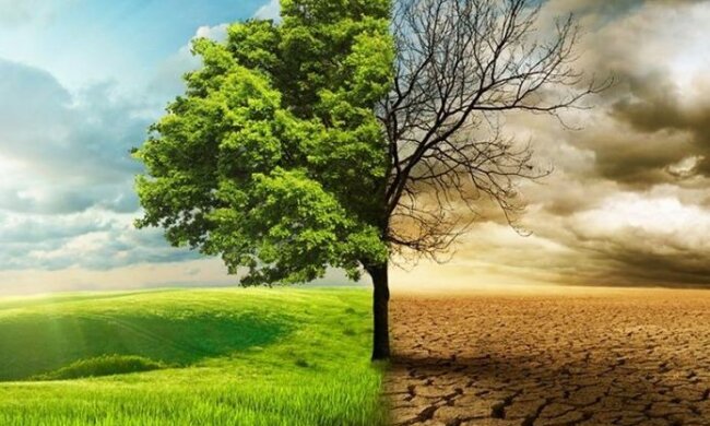 Госэкоинспекция в важную дату напомнила о миссии каждого: можно присоединиться