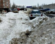 Киянам показали чудеса прибирання на платних парковках, підкинь "бідним": це Троєщина, крихітко