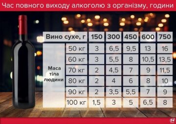 Время действия алкоголя в организме, инфографика: 24.tv