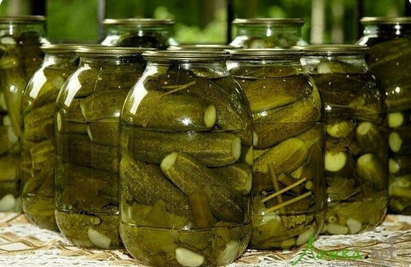 Огірки, фото: youtube