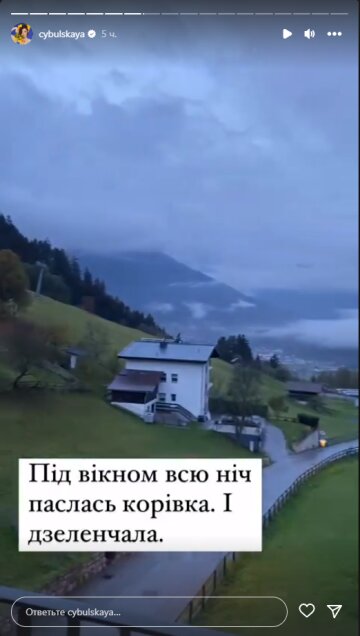 Оля Цибульская, скриншот: Instagram Stories