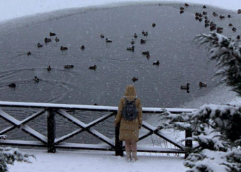 Украинцы, снег, зима, фото из соцсетей