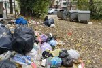 Звалище в Тернополі, фото: соціальні мережі