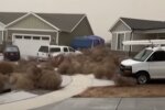 американські міста завалило перекоти-поле