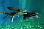 Ученые наткнулись на древнейший скелет амфибии: фото