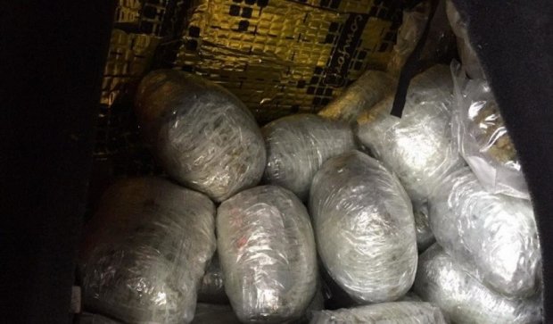 Силовики на границе изъяли более 20 кг "кайфа"