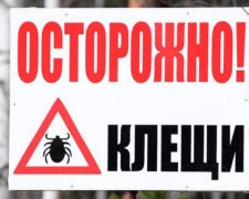 Как защититься от клещей 