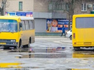 Маршрутки, фото: скріншот з відео