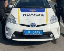 У Запоріжжі матір задушила п'яного сина і поховала в лісі