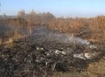 Под Киевом пылают 17 гектаров торфяников