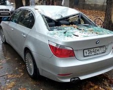 Величезна гілка розчавила автомобіль у Криму (фото)