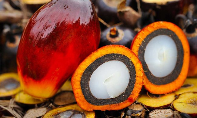 Найнебезпечніший інгредієнт: експерти ООН обрушилися на пальмову олію