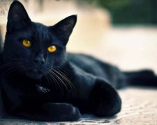 Пятница 13: чего категорически нельзя делать, чтобы не навлечь беду