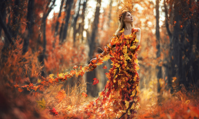 12 ноября: какой сегодня праздник