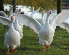 Алексея Теплого 30 марта: народные обычаи и приметы