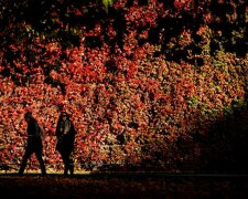 Осінь 2019 подарує українцям "бонусні" вихідні, три свята поспіль: скільки відпочиватимемо