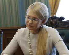 Волкер зізнався, про що говорив з Тимошенко