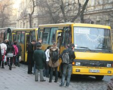 Во Львове быдло-маршрутчик сорвал погоны с военной и эпично получил по шапке