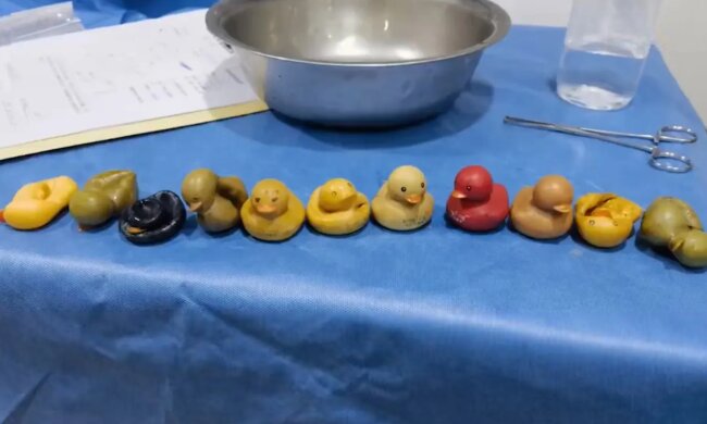 Красень з'їв цілих 11 гумових качечок і навіть не поперхнувся: іграшки ніде не могли знайти